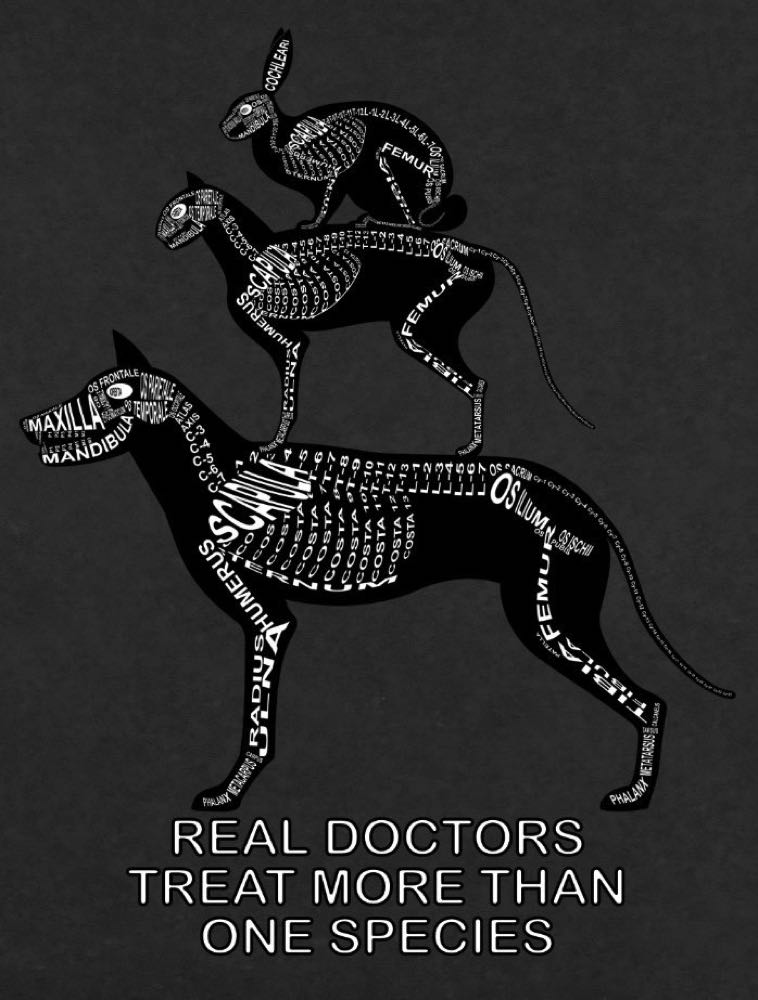 Real doctors treat more than one species: Every bone of the skeleton in its medical, Latin name. For a veterinarian and vet student - Word Anatomy