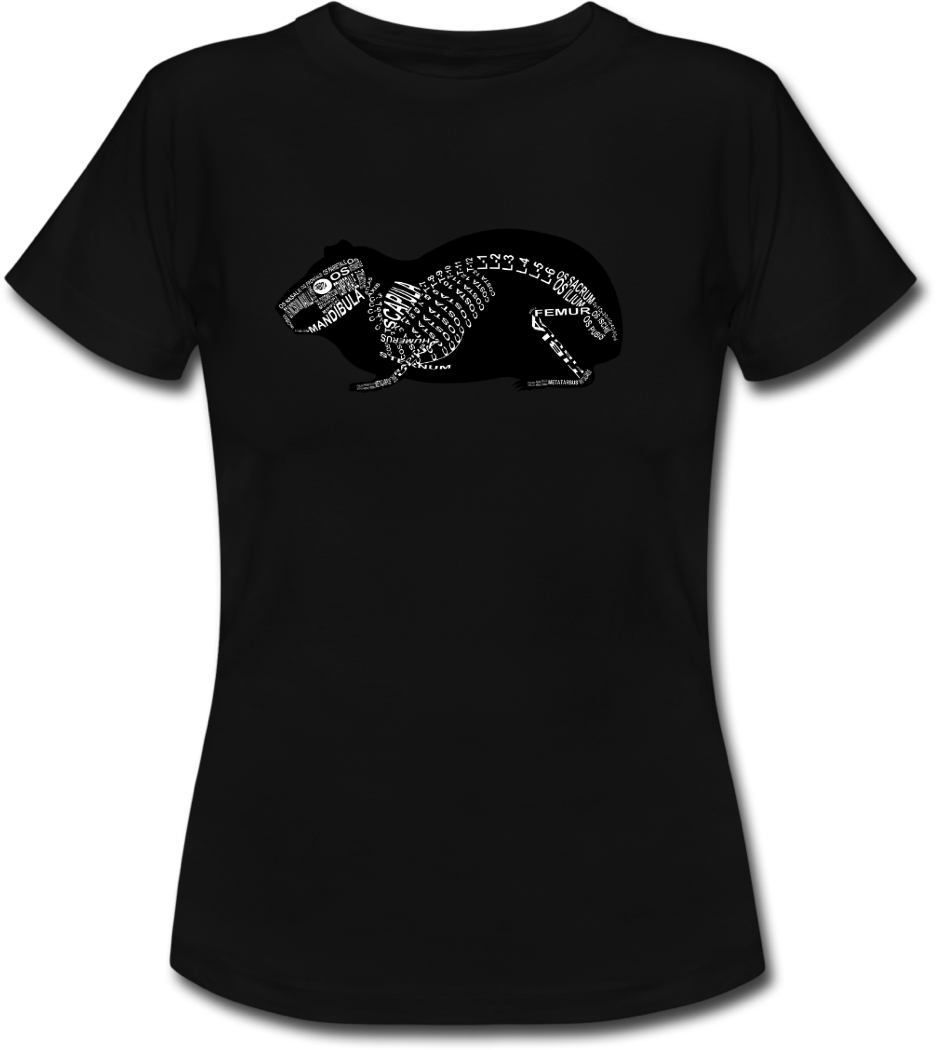 Shirt with guinea pig skeleton and medical term of the bones for vets and medical or veterinarian students - Word Anatomy